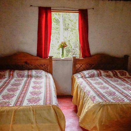 Cabanas Tonina Kayab Ocosingo 외부 사진